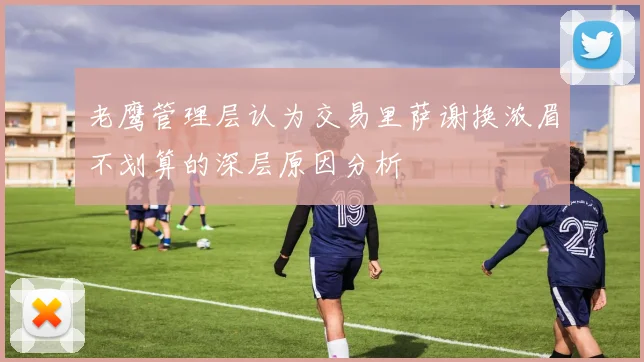 老鹰管理层认为交易里萨谢换浓眉不划算的深层原因分析