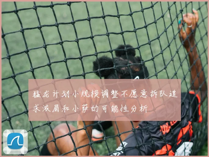 猛龙计划小规模调整不愿意拆队追求浓眉和小萨的可能性分析