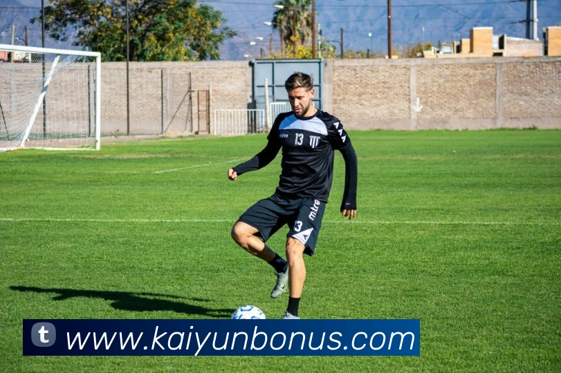 开云体育平台生态图